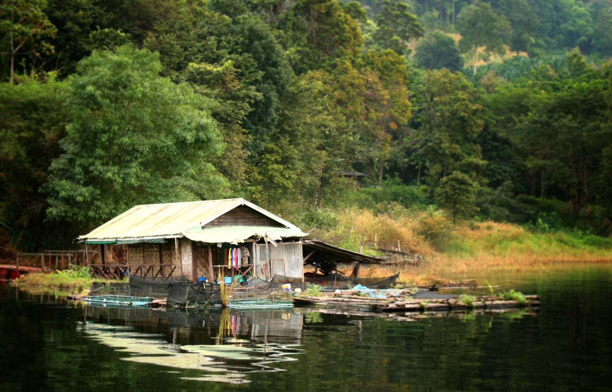 Island Decor