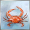 Coastal Locals - Red Crab Canvas Print | Coastal Decor | Wall Art