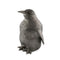 Pewter Penguin Ice Bucket | Coastal Decor | Decorative Bowls