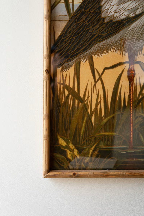 Set of 2 Framed Heron Prints under Glass | Coastal Decor | Wall Art