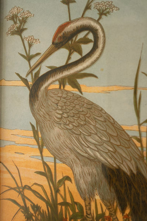 Set of 2 Framed Heron Prints under Glass | Coastal Decor | Wall Art