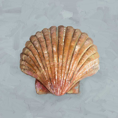 Shell Study - II Canvas Print | Coastal Decor | Wall Art