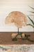 Teak Nautilus Shell on a Stand | Island Decor | Home Accessories
