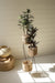 Three-Tiered Seagrass Plant Stand | Coastal Decor | Baskets