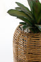 Woven Seagrass Barrel Planters Set of 2 | Island Decor |