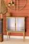 Antique Brass and Glass Two Door Cabinet | Island Decor | Furniture