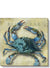 Blue Crab Canvas Print | Coastal Decor | Wall Art