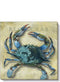 Blue Crab Canvas Print | Coastal Decor | Wall Art