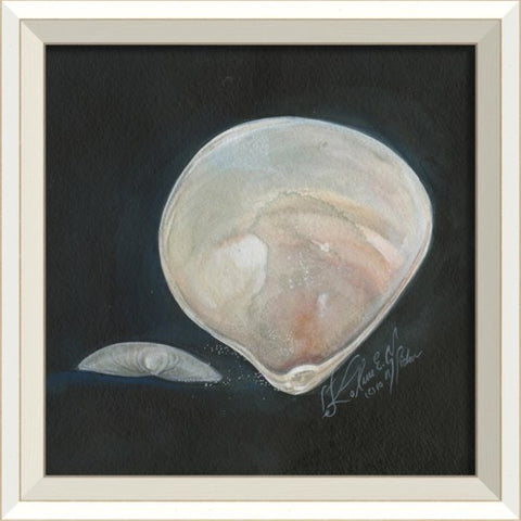 Clam Shell Framed Print | Coastal Decor | Wall Art