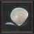 Clam Shell Framed Print | Coastal Decor | Wall Art