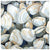 Clamouflage Canvas Print | Coastal Decor | Wall Art