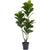 Fiddle Leaf Tree | Island Decor | Artificial Flowers
