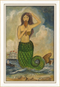 Mermaid Looking in Mirror Green Tail Framed Print | Island Decor | Wall Art
