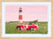 Nantucket Holiday Photographic Print | Coastal Decor | Wall Art