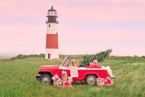 Nantucket Holiday Photographic Print | Coastal Decor | Wall Art