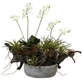 Orchid & Succulent Garden with Driftwood in Decorative Vase | Island Decor | Artificial Flowers