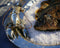 Pewter Lobster Steel Tray | Coastal Decor | Decorative Trays
