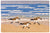 Sandpipers Hooked Wool Rug | Coastal Decor | Rugs