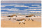 Sandpipers Hooked Wool Rug | Coastal Decor | Rugs