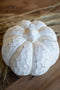 Set of 2 Faux White-Wash Resin Pumpkins | Seasonal | Halloween
