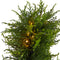 Spiral Cypress Artificial Tree With 80 Clear LED Lights | Seasonal | Artificial Flowers