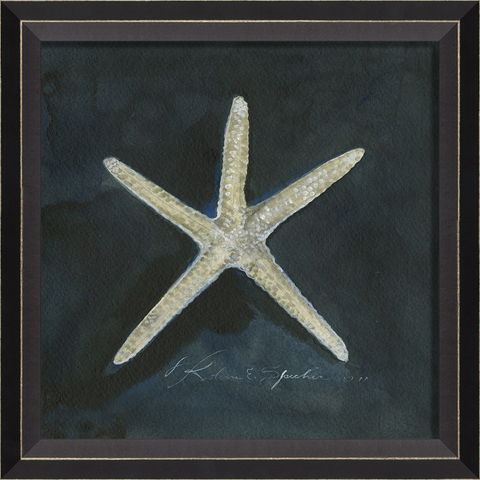 Star Fish Framed Print | Coastal Decor | Wall Art