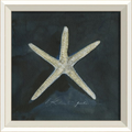 Star Fish Framed Print | Coastal Decor | Wall Art