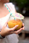 Stemless Wine Glass Clear Set of 6 | Coastal Decor | Home Accessories