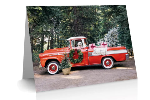 The Holiday Notecard Set Case Pack | Seasonal | Christmas