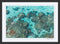 The Reef Bora Bora Photographic Print | Island Decor | Wall Art