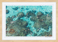 The Reef Bora Bora Photographic Print | Island Decor | Wall Art