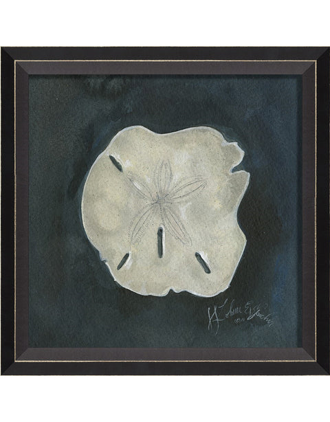 Sand Dollar Seashell Framed Print | Coastal Decor | Wall Art