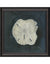 Sand Dollar Seashell Framed Print | Coastal Decor | Wall Art