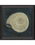 Seashell Framed Print | Coastal Decor | Wall Art