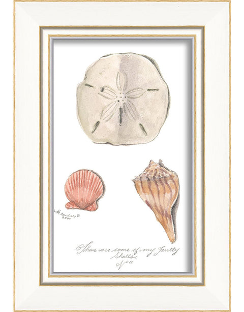 Three Seashells Framed Print | Coastal Decor | Wall Art